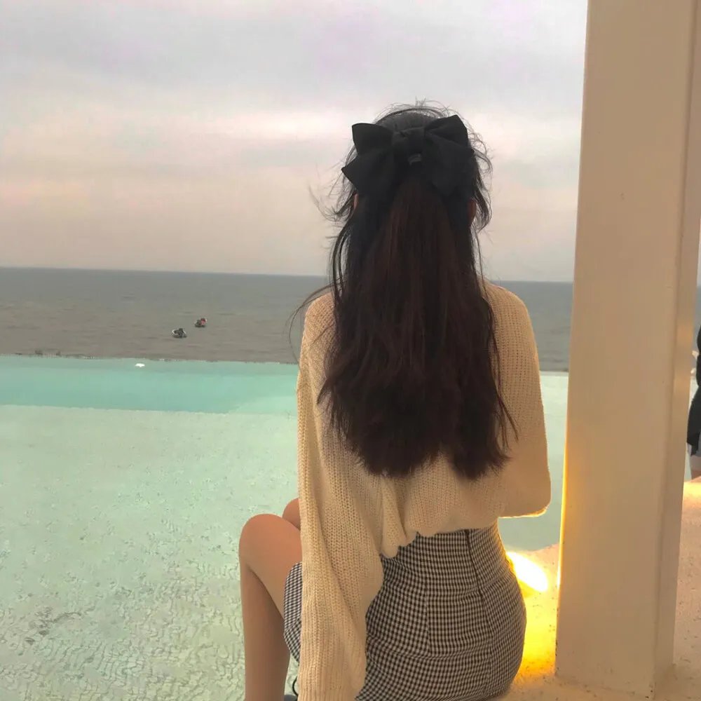 与鲨共游