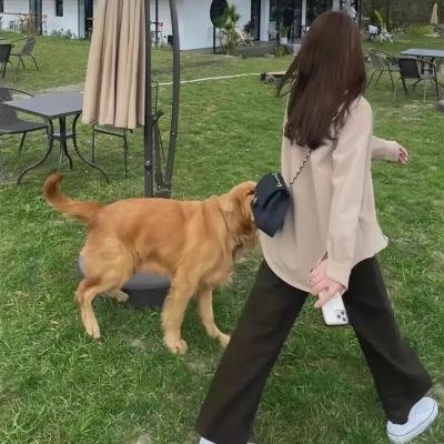 科西加兄弟